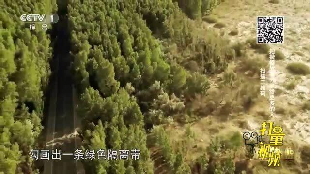 八步沙六老汉3代人扎根荒漠,用38年打造治沙奇迹