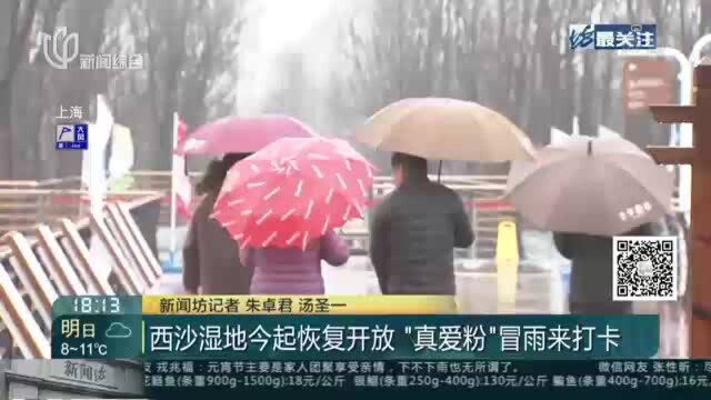 西沙湿地今起恢复开放 “真爱粉”冒雨来打卡