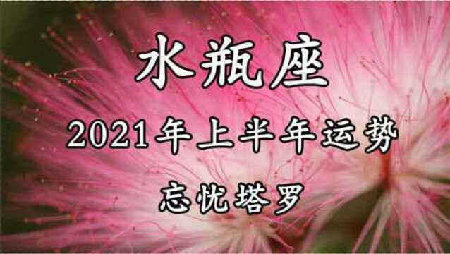 忘忧塔罗:水瓶座2021年上半年运势,矛盾和分歧,不再互相信任