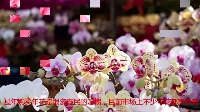 年花摆放别太多