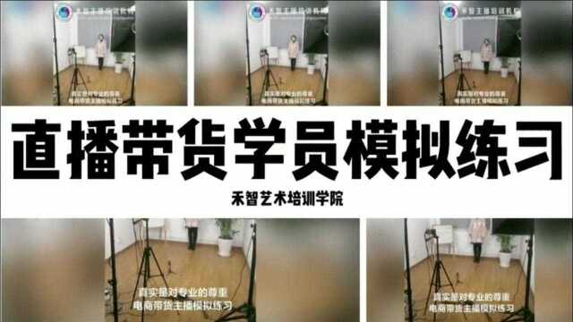 河池电商直播培训选择比较好,芜湖淘宝直播培训推荐工作