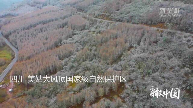 瞰中国|飞“阅”雪后美姑大风顶