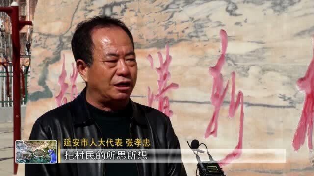 张孝忠:积极履职 用心为民办实事