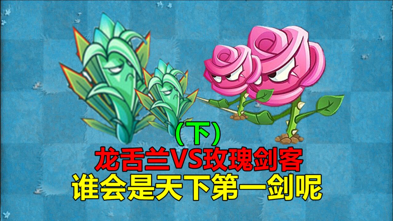 【pvz沙雕配音】龙舌兰VS玫瑰剑客,谁会是天下第一剑呢(下)