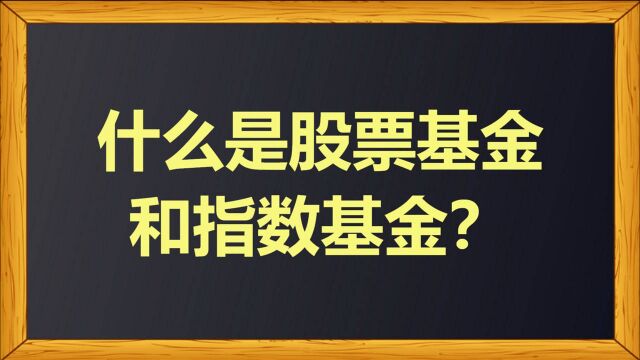 什么是股票基金和指数基金