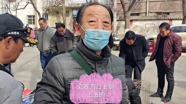 三朝皇帝老师的书法作品流落街头,看收藏家是如何辨别真伪