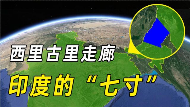 切断西里古里走廊,真能让印度分裂?印度通过两个决定扭转被动