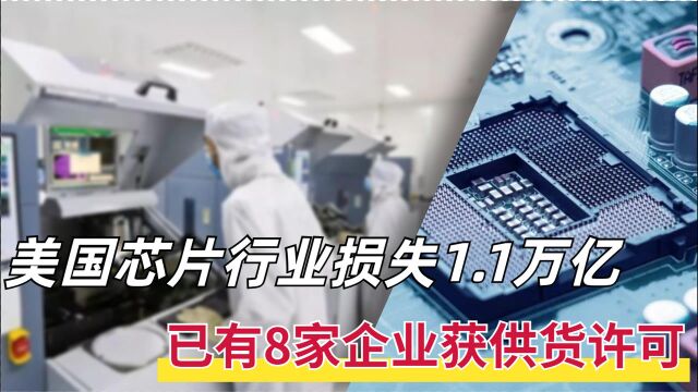 损失达1.1亿,美半导体协会呼吁美国放宽限制,8家企业获供货许可