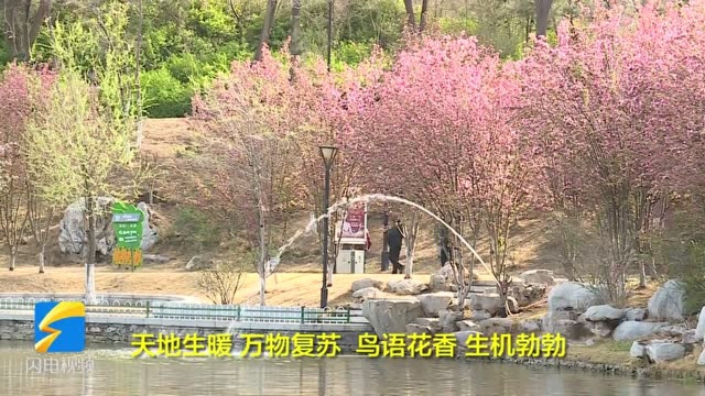 40秒丨诗画德州:百花争艳俏枝头 美艳春光无限好