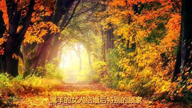 “操心命”的3生肖女,不是操心丈夫,就是操心孩子,特别第二名