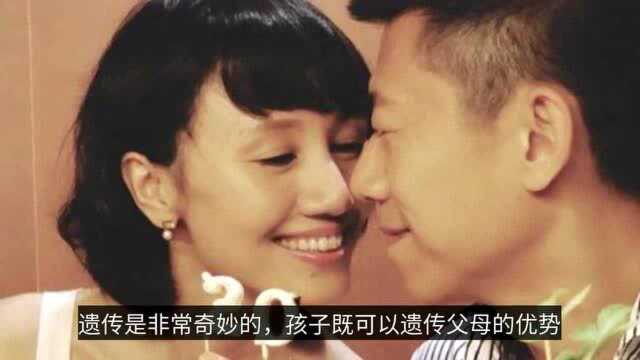 一种“高级的长相”叫袁泉的女儿,遗传了爸爸才华,妈妈的高颜值