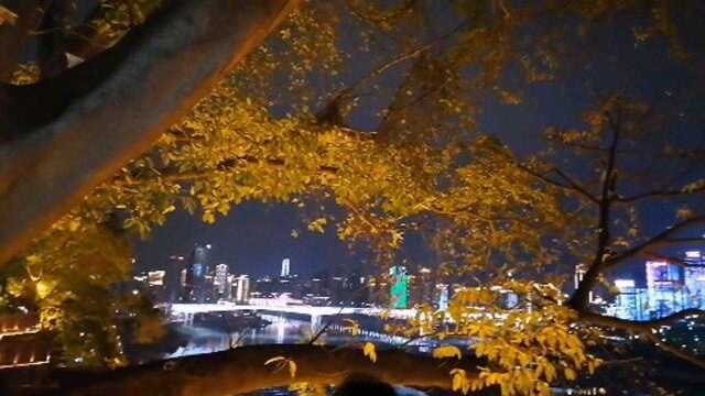 重庆夜景真的是不错哟