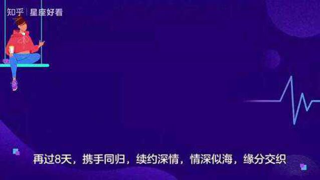 再过8天,携手同归,续约深情,情深似海,缘分交织,旧爱传情