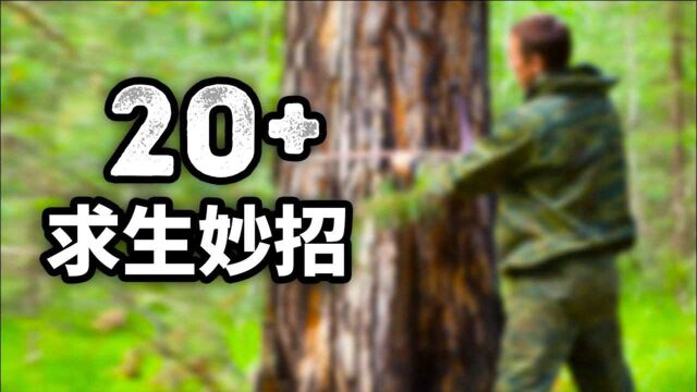 求生专家教你的23个求生技巧