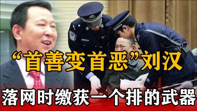 “四川首善”刘汉:为汶川捐5000万,落网时家中搜出一个排的武器