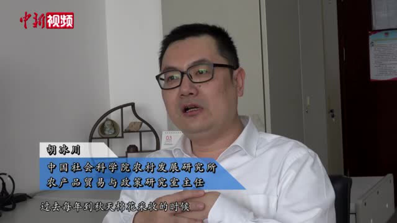 专家:“强制劳动”是无稽之谈抵制事件不会影响新疆棉花生产