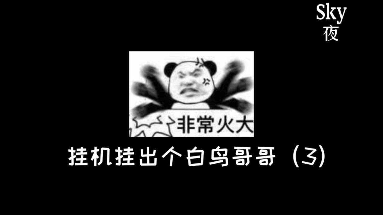 光遇夜-虽然被这只白鸟帅到但我把面子找回来了，可是他怎么…