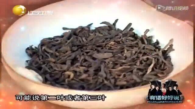 专家详解功夫茶茶艺,和碧螺春的名字的传说丨有话好好说