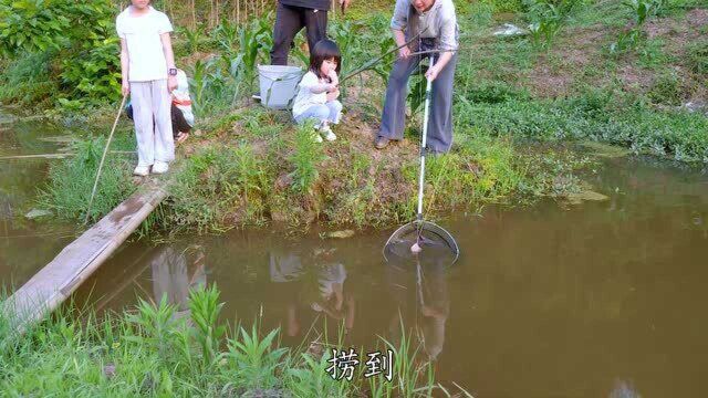 钓龙虾的季节,几个幼儿园的小孩,半个小时就钓了十多斤龙虾