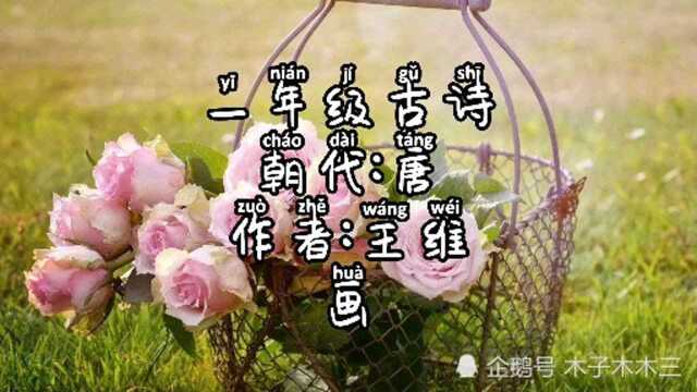 一年级古诗朗诵~朝代:唐~作者:王维~画