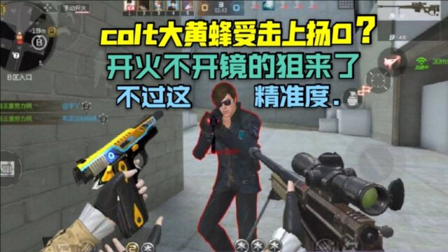 开火不开镜的狙来了,colt大黄蜂受击上扬和王戮一样?!