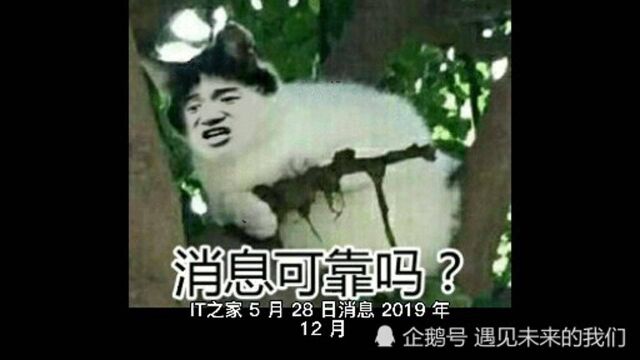 消息可靠吗?微信圈子将停止运营