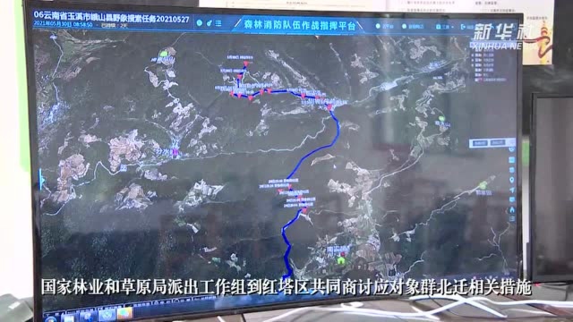 云南15头野象继续北迁进入玉溪市红塔区