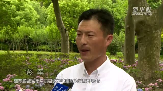 上海:乘高铁赴约江苏阜宁