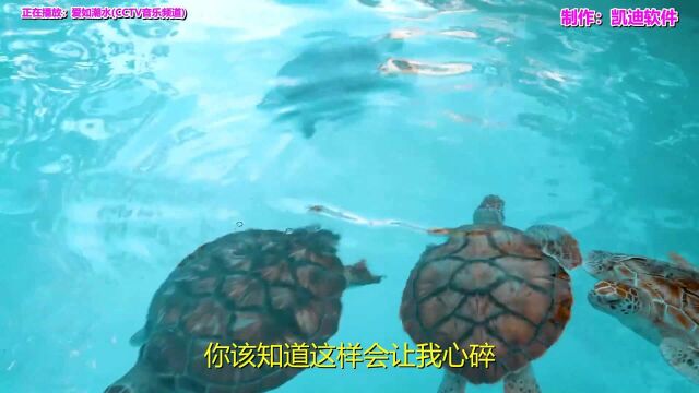 《爱如潮水(CCTV音乐频道)》欣赏,拍mv视频用什么软件好