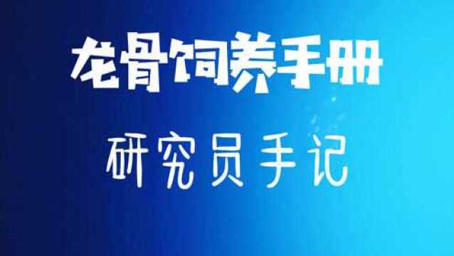 光遇苏安安《龙骨饲养手册》海洋骨