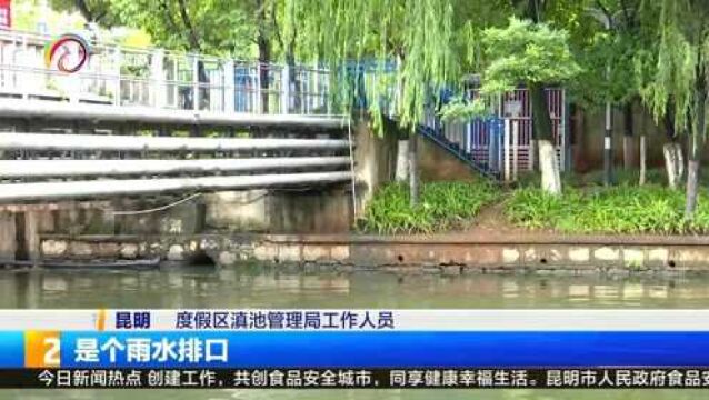 市民拍到灰白色水流入船房河 滇管调查回复:是雨水