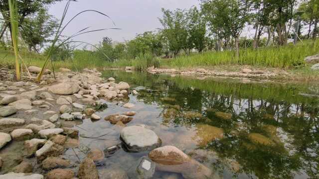 太仓城市中心市民公园,景色绝美犹如世外桃源,绿道长廊浪漫唯美