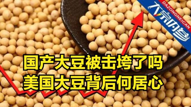 在美国大豆围堵下,国产豆被“击垮”了吗?美国大豆背后何居心?