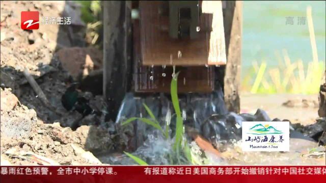 老记忆来了! 40多年前的“余姚水车”经修复再度车水