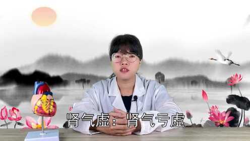 肾气虚身体会有什么表现？