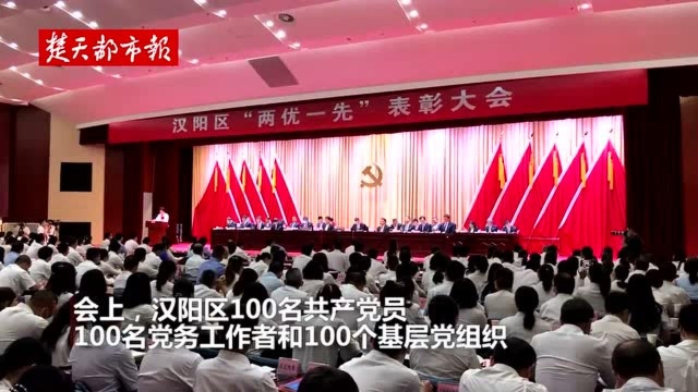 继承建党精神,赓续红色血脉——汉阳区举行“两优一先”表彰大会