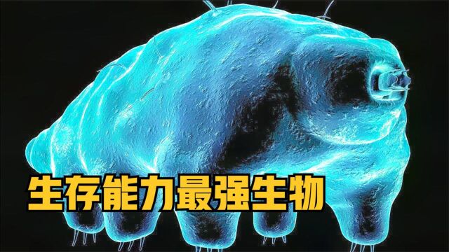 你知道不怕高温高压、低温缺氧的生物吗?2分钟带你了解它!