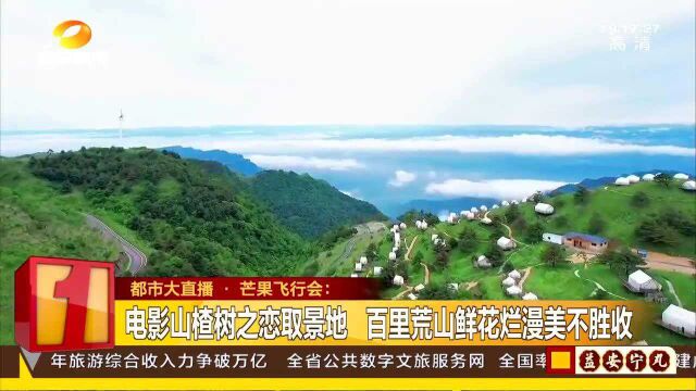 电影《山楂树之恋》取景地 百里荒“浪漫飞屋大挑战” 即将亮相!