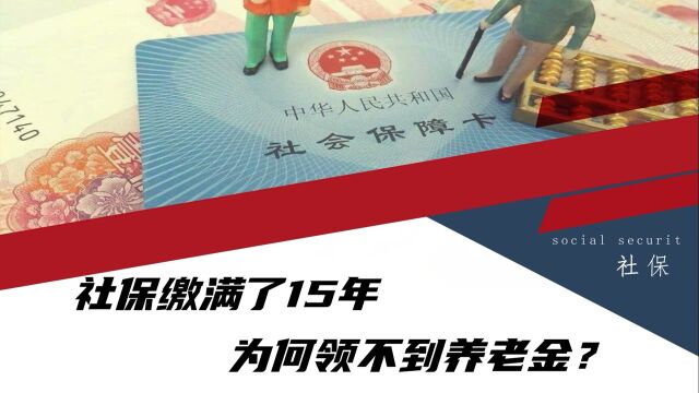 社保交满了15年,为何没有领到养老金?你可能忽略了这6点