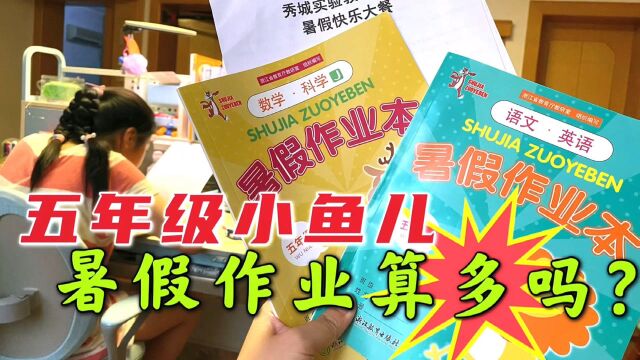 五年级小学生暑假作业有哪些?内容又多又复杂,妈妈也忍不住吐槽,和你们比算多吗?