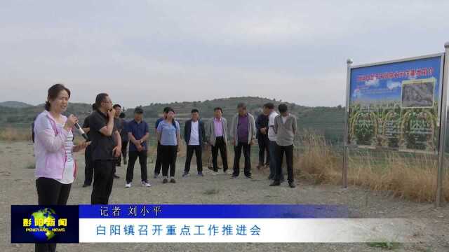 白阳镇召开重点工作推进会 