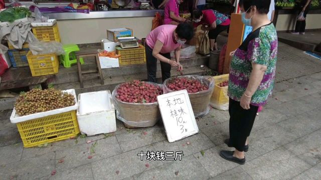 全国最小的镇10.38平方公里都不到,它就在东莞的石龙镇和石湾交接