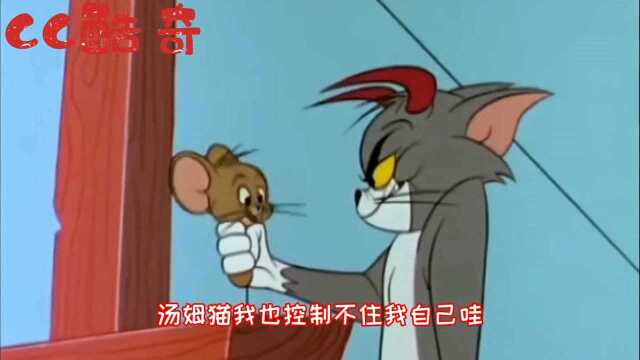 搞笑配音:出现了!第一只被鱼吃了的猫!笑爆了!