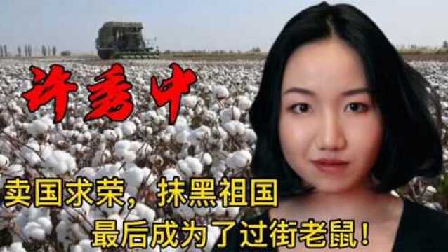 新疆棉花的始作俑者许秀中,卖国求荣抹黑祖国,最后下场如何?