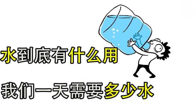 每天喝水有什么用?医生说出答案,看完我怒喝八杯水!#“知识抢先知”征稿大赛#