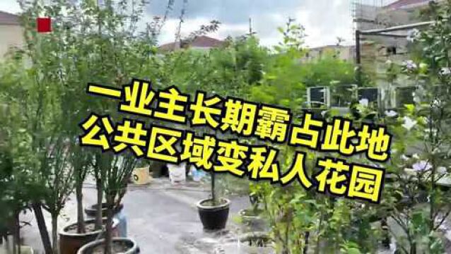 拆拆拆!迎战台风“烟花”,上海闵行城管即查即拆违法搭建