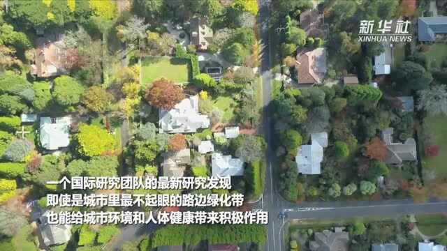 新研究表明不起眼的城市绿地也蕴含益处