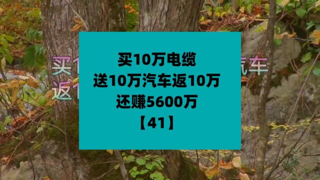 买10万的电缆送10万的车,返10万的货赚5600万【41】