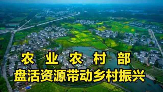 农业农村部强调:打造统一化平台,盘活农村闲置资源带动乡村振兴