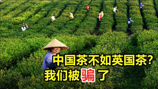 茶叶的战争,4000年中国茶败给英国,英国茶凭什么?